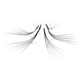 M curl 1200 Promade volume fans eyelash extension 8 sizes-in-1 round mixed box - 6D Premade fans 9-16mm, 0.07 - Pinneacle Lash Supply For Professional Lash Artists - Made in Vietnam (M curl)