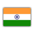 India Flag Temporary Tattoos 30 Sheets for Fans