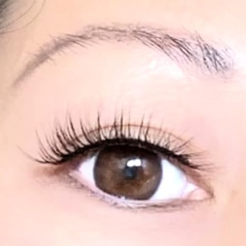 Faux Mink Lashes 12mm - 10 Pairs Everyday 222