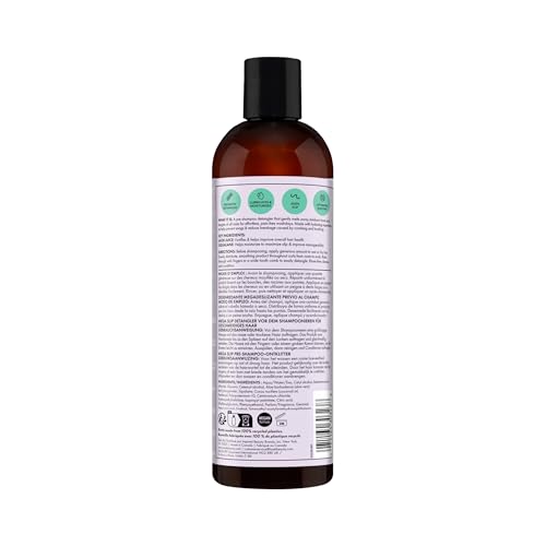 HASK Mega Slip Pre-Shampoo Detangler with Aloe Juice & Squalane for Wavy, Curly, Coily & Kinky Hair, Moisturizes, Adds Slip, Reduces Breakage, Vegan, Sulfate-Free, Cruelty-Free ? 12 fl oz