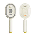 Electric Spray Hair Cushion Comb with Steaming Massage | Rechargeable Detangling Brush