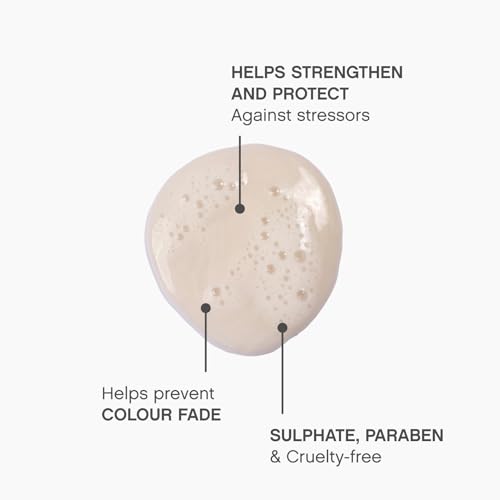 KEVIN.MURPHY ANGEL.WASH - Restorative Shampoo - For Fine Coloured Hair - Colour-Safe Shampoo - With Vitamins & Antioxidants - Sulphate & Paraben Free - 250 ml / 8.4 fl oz