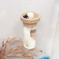 Magnetic Jumping Spider Water Dispenser - 10ML Hydration Feeder