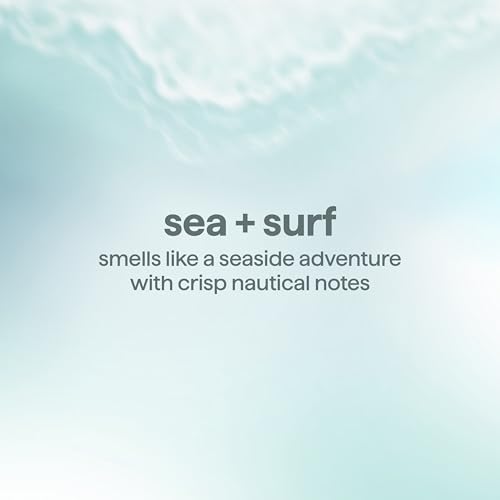 Men's Deodorant Stick - Sea + Surf, Aluminum-Free, 2.65oz