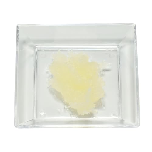 Castor Lip Base - 100g Natural Emollient Gel