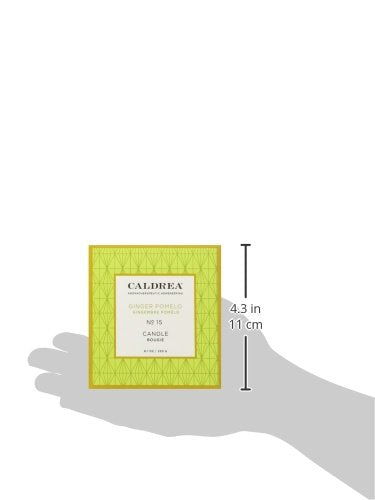 Caldrea Scented Candle, Made with Essential Oils and Other Thoughtfully Chosen Ingredients, 45 Hour Burn Time, Ginger Pomelo Scent, 8.1 oz (Pack of 2)