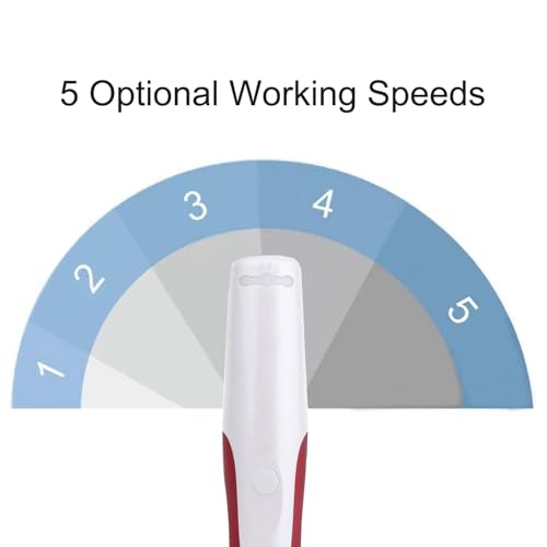 Microneedling Pen 0.25mm - 5 Speed Derma Roller Kit