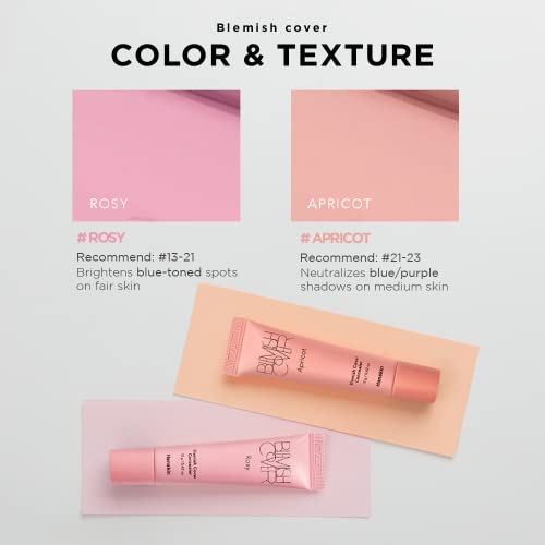 Hanskin Blemish Cover Rosy Full Coverage Concealer 12g
