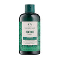 The Body Shop Tea Tree Purifying & Balancing Shampoo for Oily Hair & Scalp, Vegan, 8.4 Fl Oz