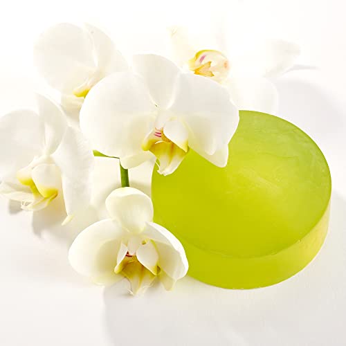 ARCONA ARCONA Kiwi Cream Bar 4 oz