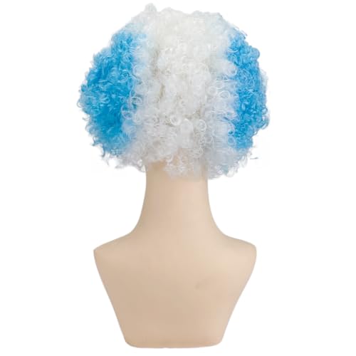 Argentina Flag Afro Wig for Football Fans - World Cup 2026