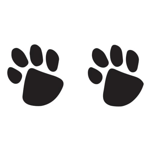 Paw Print Temporary Tattoos / 20 Double Paw Prints/Great for School & Team Spirit/Skin Safe/Removable (Black)