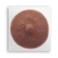 TataTattoos Temporary Realistic Nipple/Areola Tattoos ? Non-Surgical for Mastectomy Recovery ? for Post Breast Cancer Surgery (Olive, Medium (Pack of 4))