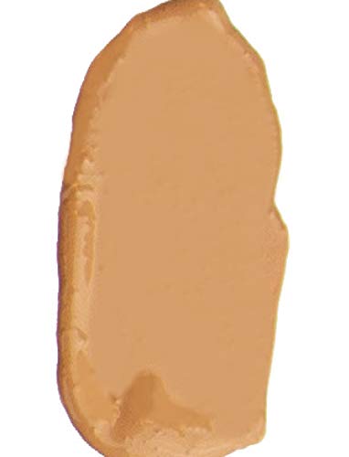 theBalm Anne T. Dotes Tinted Moisturizer, 26 (For Medium Skin), 1 Fl Oz