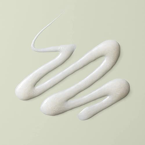 DevaCurl Wash Day Wonder Time-Saving Slip Detangler | Tangle-Release Complex | Melts Away Tangles | No Buildup Formula