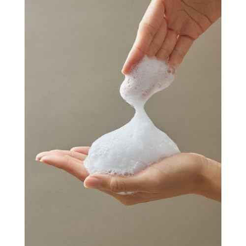 John Masters Organics Scalp Stimulating Shampoo 16 oz | Organic Spearmint & Meadowsweet | 70% Organic Ingredients | Clarifying Shampoo | Improve Scalp Health | Sulfate-free, 16 Fl Oz