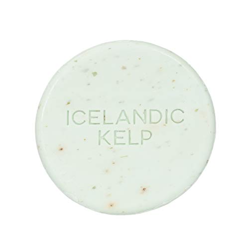 Hallo Sapa Icelandic Kelp Bath/Shower Soap, Kalastyle, 1- bar, 4.3 oz