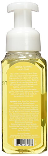 Bath & Body Works Lemon Foaming Hand Soap