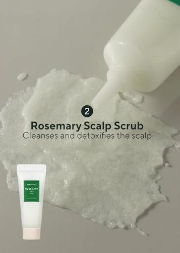 AROMATICA Rosemary Scalp Scrub Trial Kit with Wooden Brush