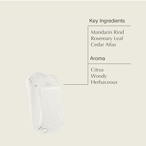 Aesop Resurrection Rinse-Free Hand Wash, 16.9 oz