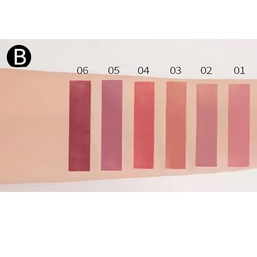 R.Y.M Matte Liquid Stick Sets, Natural, Moisturizing, Plumping Lip Gloss Set, Long Lasting for lip color, minimizes lipgloss, with beautiful finishing(B, 0.54 Ounce (Pack of 6))