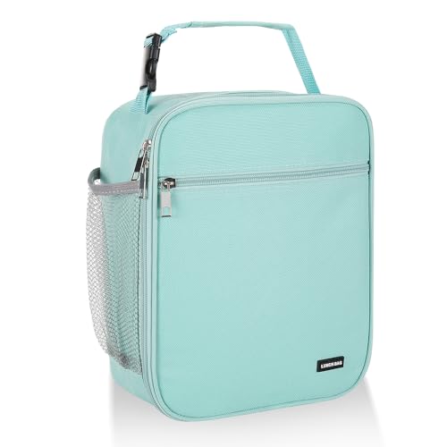 AYEANY Lunch box Lunch bag for men women Lunchbox Lunch bags Insulated Lunch bag Lunch box cooler (Light grey)