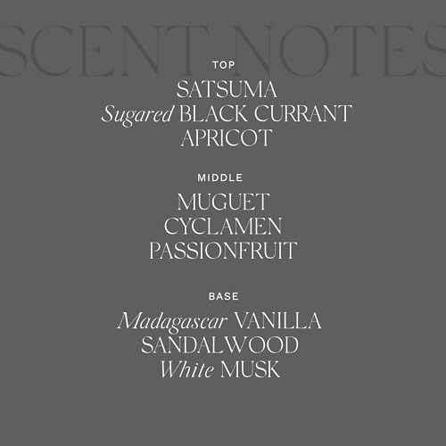 Antica Farmacista Luxury Scent Candle - Decorative Home Candle - Long-Lasting & Premium Scented - Luxury Gift - Prosecco, 9 oz