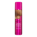 EVERPRO Gray Away Root Cover Spray 2.5oz Light Brown