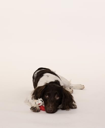 Multipet INTERNATIONAL 843140 Lambchop Plush Squeak Toy Mini for Pets, 6-Inch, White, small