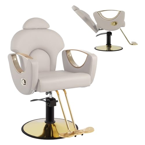 Salon Barber Chair with Heavy Duty Hydraulic Pump, Gray Gold
