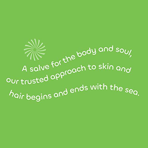 Seaweed Bath Co. Hydrate Body Cream, Eucalyptus Peppermint Scent, 6 Ounce, Nourishing Hand & Body Lotion Moisturizer for Dry Skin, with Sustainably Harvested Seaweed, Kukui Oil, Hyaluronic Acid