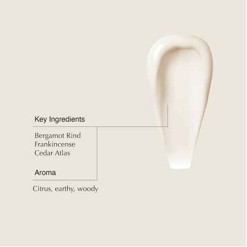 Aesop Shampoo & Conditioner Set | Hydrates, Softens, & Adds Shine | All Hair Types | 16.9 oz / 500mL