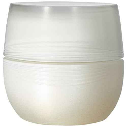 Absolute Silk by SENSAI Cream 40ml