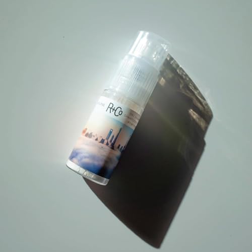 R+Co SKYLINE Dry Shampoo Powder ? Oil-Absorbing & Volumizing Hair Powder, Refreshes Hair Between Washes, All Hair Types