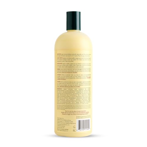 Acure Dry Shampoo - Mini Powder Dry Shampoo for Women with Blonde & Dark Hair, Care to Refresh Treated Color Tinted Hair with Rosemary & Peppermint, Non Aerosol, Vegan - 1.7 oz Travel Size (2 Pack)