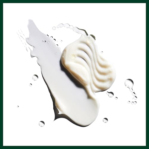 Aveda Nutriplenish Shampoo Deep Moisture | Superfood Shampoo for Dry Hair | Organic Pomegranate Oil, Coconut Oil, Mango Butter | 93% Naturally Derived*
