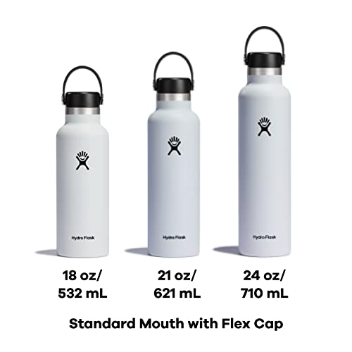 Hydro Flask Standard Flex Cap Black 18 Oz