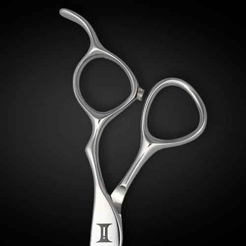 Ascent 6-Inch Hair Cutting Scissors - Silver, Compact, Right Hand, Convex Edge, 440C Stainless Steel