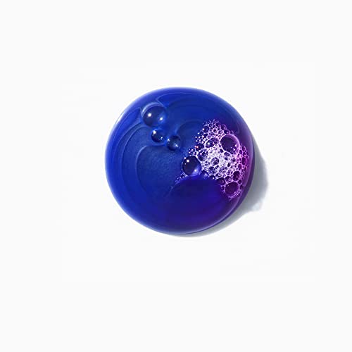 KERASTASE Blond Absolu Bain Ultra-Violet Shampoo - Neutralizes Brassy Undertones, With Blue and Violet Pigments, Restores Shine and Softness