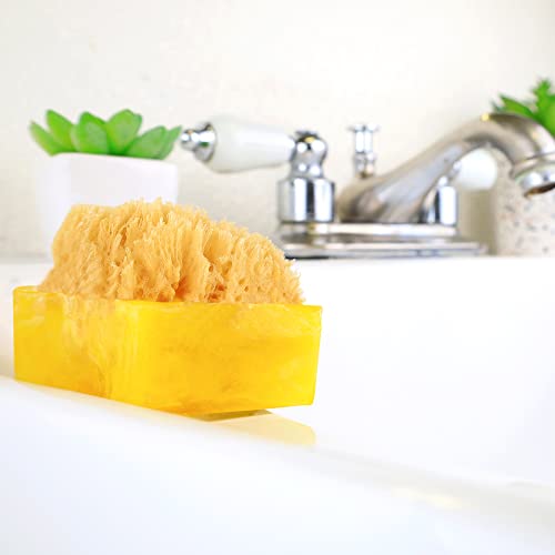 Primal Elements Tahitian Vanilla SpongeBar Soap (Pack of 2)