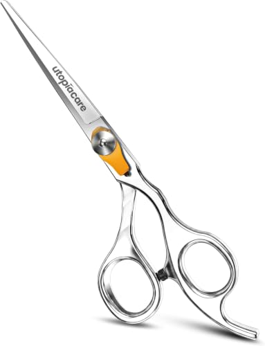 Professional Hair Cutting Scissors - 6.5 Inch Salon Barber Shears - Silver