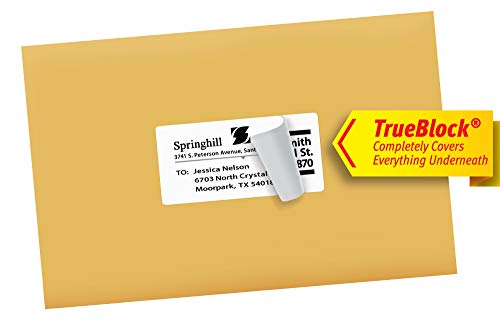 Avery Shipping Address Labels, Laser & Inkjet Printers, 100 Labels, 2x4 Labels, Permanent Adhesive, TrueBlock (18163)