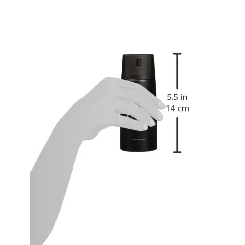 12 AXE body spray deodrant Anit-Aerspirant (12X 150 ml/5.07 oz , Musk)