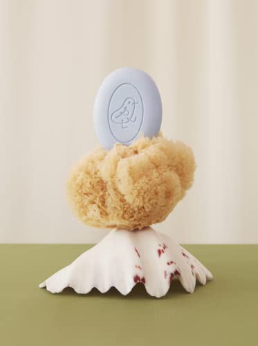 Paloroma Gentle Cleansing Bar for Face & Body Baby Kids Non-Toxic Fragrance-Free Soap
