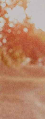 FarmHouse Fresh Raibow Road Shea Butter for Body, 8 Fl Oz