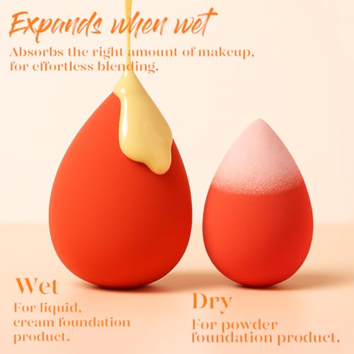 BEAKEY Makeup Sponge Set 5 Pack | Foundation & Blender Sponges