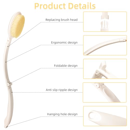 19" Long Handle Shower Brush Set with 3 Interchangeable Heads