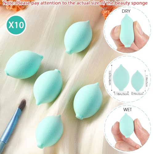 20 Pcs Travel Makeup Brush Set, 10 Mini Travel Brush Set with Bag and 10 Makeup Sponge Princess Party Favor Valentine's Day Gift for Women Home Party(Blue)