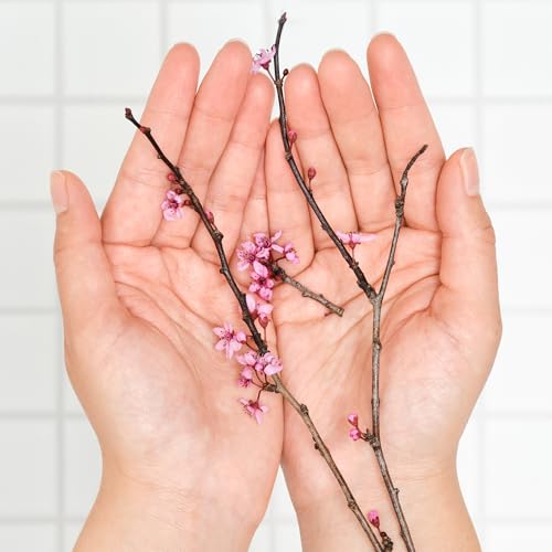 Dr. Bronner's Organic Lip Balm 6-Pack – Cherry Blossom