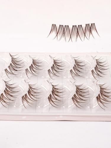 5 Pairs Brown Wispy False Eyelashes Clear Band 3D Fluffy